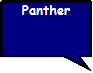  Panther 